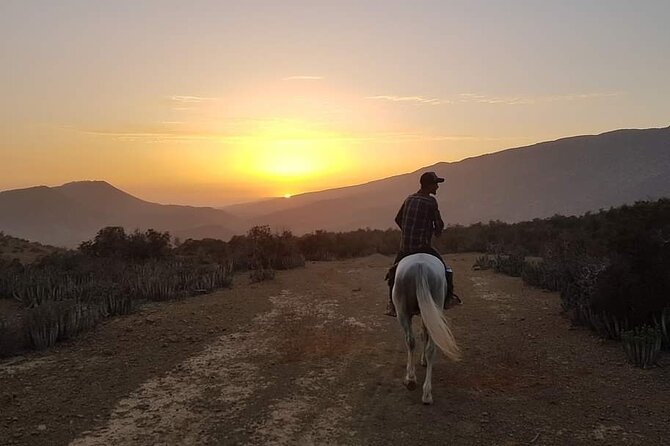 3-hour Horseback Ride Mountain and Beach Morocco - Palm groves, streams, and the Valley of Paradise