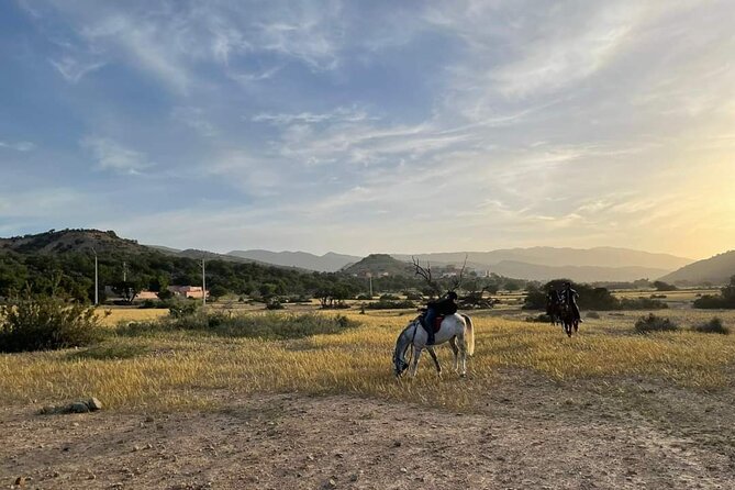 3-hour Horseback Ride Mountain and Beach Morocco - What the three hours feel like