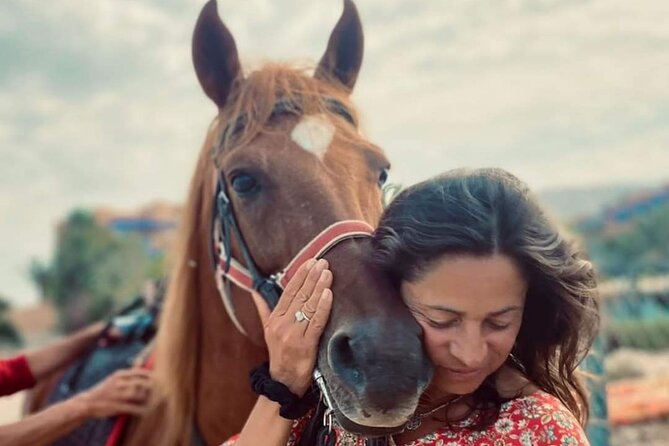 3-hour Horseback Ride Mountain and Beach Morocco - Horse care is a major part of the value