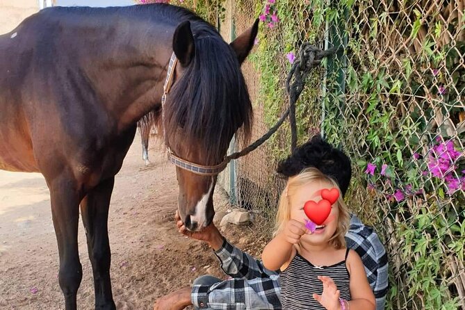3-hour Horseback Ride Mountain and Beach Morocco - Practical timing and booking advice