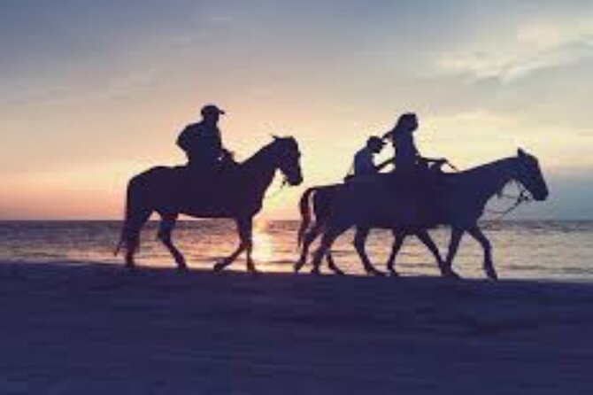 3-Hour Swim with Horses and Romantic Dinner from Hurghada hotels - Key points at a glance