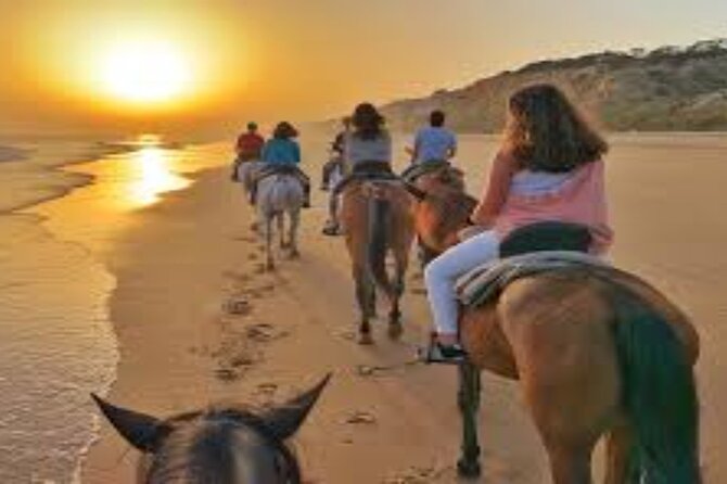3-Hour Swim with Horses and Romantic Dinner from Hurghada hotels - From Hurghada hotels to the desert