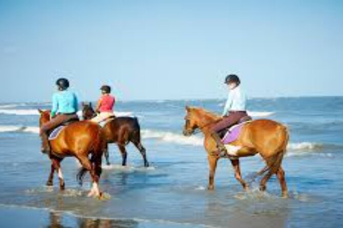 3-Hour Swim with Horses and Romantic Dinner from Hurghada hotels - Riding across the Egyptian desert