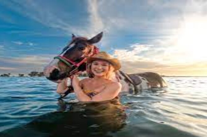 3-Hour Swim with Horses and Romantic Dinner from Hurghada hotels - Safety, comfort, and the practical limits