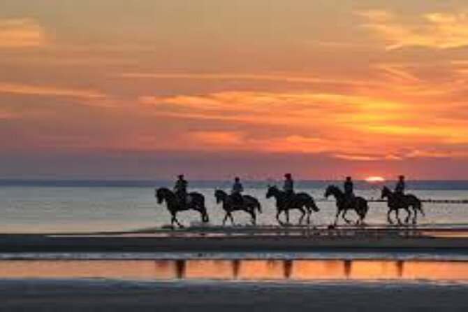 3-Hour Swim with Horses and Romantic Dinner from Hurghada hotels - Who will enjoy this ride most?