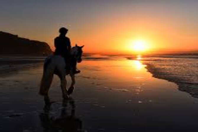3-Hour Swim with Horses and Romantic Dinner from Hurghada hotels - Getting comfortable with the horses