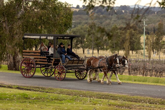 3- Hour Wine and Harvest the Hunter Horse Tour in Pokolbin - What happens during the three-hour route