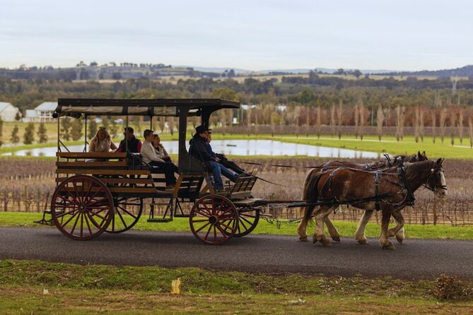3- Hour Wine and Harvest the Hunter Horse Tour in Pokolbin - The guides make a real difference