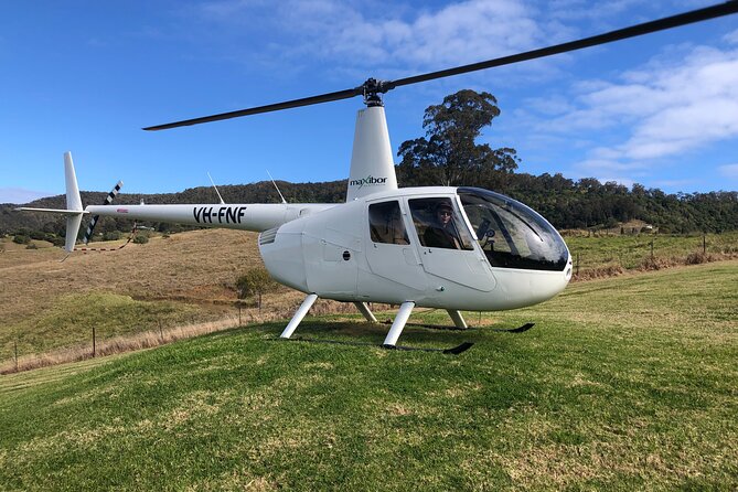 3- Hour Wine and Harvest the Hunter Horse Tour in Pokolbin - Family appeal, mobility, and practical limits