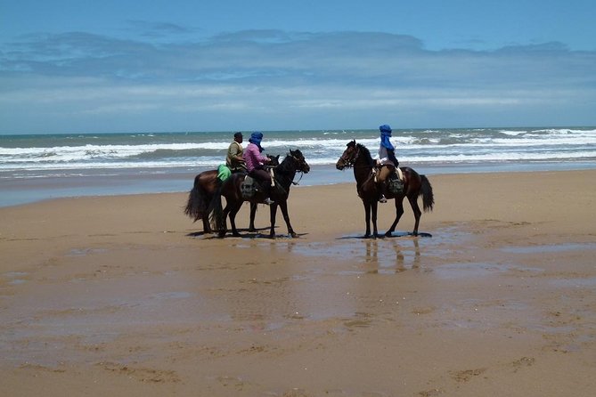 3 hours horse riding in Essaouira, beach, forest and dunes - Riding the beach toward the fishing village