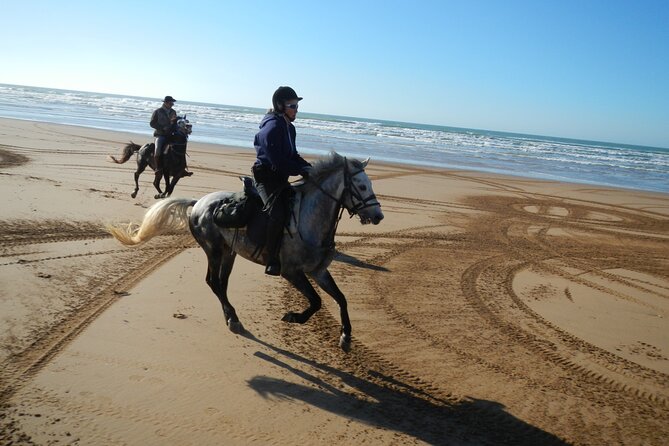 3 hours horse riding in Essaouira, beach, forest and dunes - Crossing dunes near Essaouira’s coast