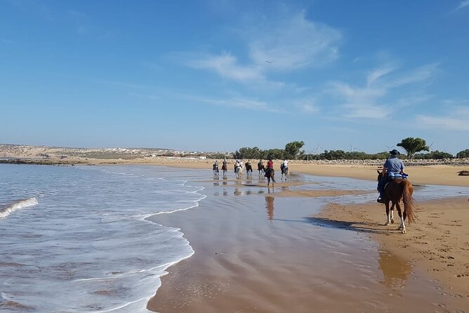 3 hours horse riding in Essaouira, beach, forest and dunes - Passing a small fishing village