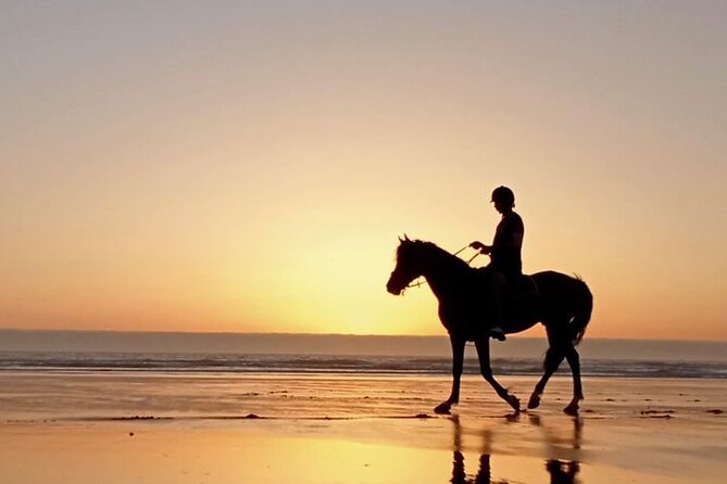 3 hours horse riding in Essaouira, beach, forest and dunes - Who will enjoy this Essaouira horse ride