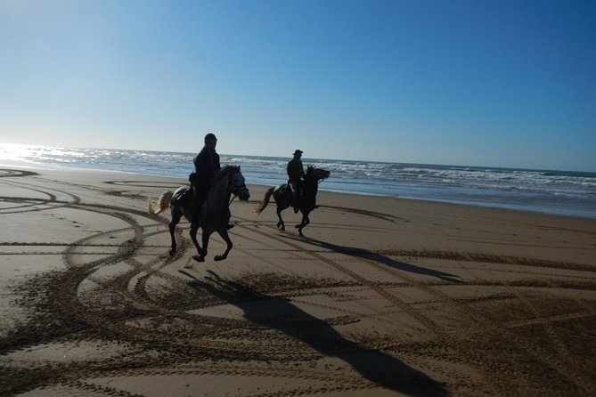 3 Hours Horse Riding with Dinner and Overnight Berber Camp - What the horses and guides add