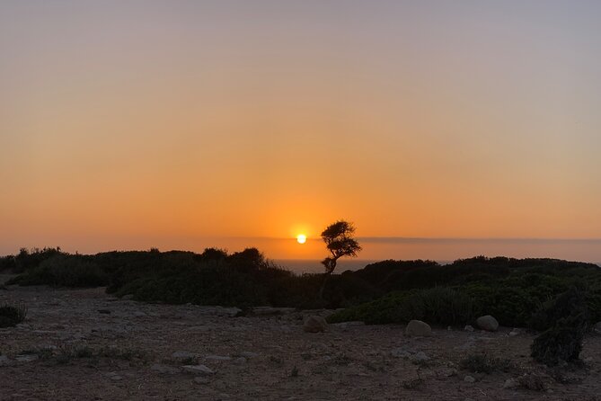 3 Hours Horse Riding with Dinner and Overnight Berber Camp - Timing, weather, and physical effort