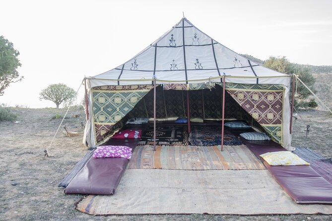 3 Hours Horse Riding with Dinner and Overnight Berber Camp - Who will enjoy this Essaouira outing