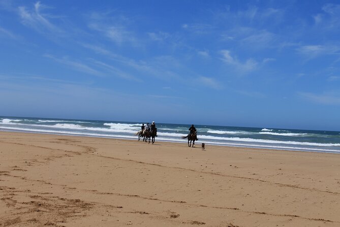 3 Hours Horse Riding with Dinner and Overnight Berber Camp - FAQ