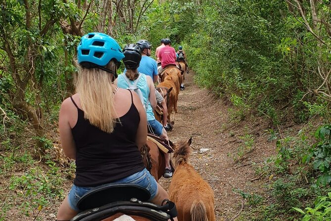 3 Hours Horseback Riding from Nature Trails to Sofa Stone - Key points to know before you saddle up