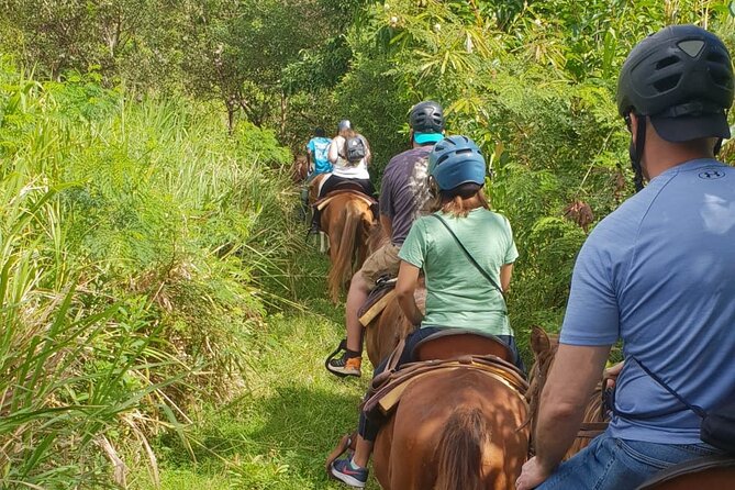 3 Hours Horseback Riding from Nature Trails to Sofa Stone - The 10-minute walk to Sofa Stone