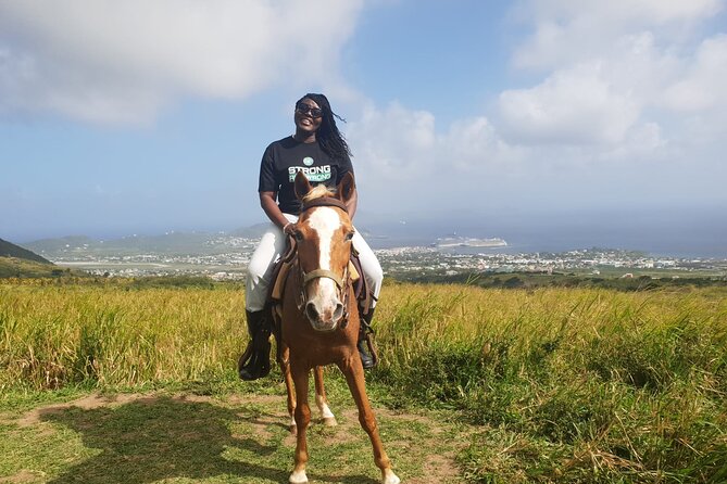 3 Hours Horseback Riding from Nature Trails to Sofa Stone - The descent back to the base