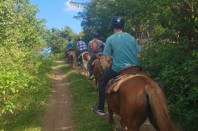 3 Hours Horseback Riding from Nature Trails to Sofa Stone - Pickup from hotels and the cruise port