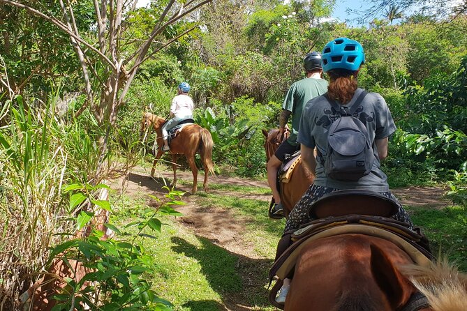 3 Hours Horseback Riding from Nature Trails to Sofa Stone - Group size, guides, and the level of personal help
