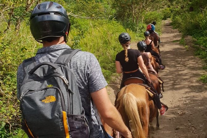 3 Hours Horseback Riding from Nature Trails to Sofa Stone - Horse care and what to consider before booking