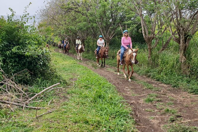 3 Hours Horseback Riding from Nature Trails to Sofa Stone - What the first-time rider experience is like