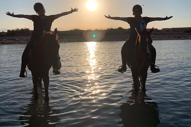 3 Hours Swimming By Horse in Red Sea Riding on the Beach and Dessert - Hurghada - Why this Hurghada ride is different