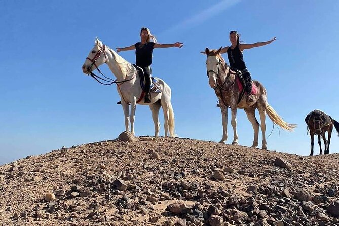 3 Hours Swimming By Horse in Red Sea Riding on the Beach and Dessert - Hurghada - Reaching the beach and the Red Sea