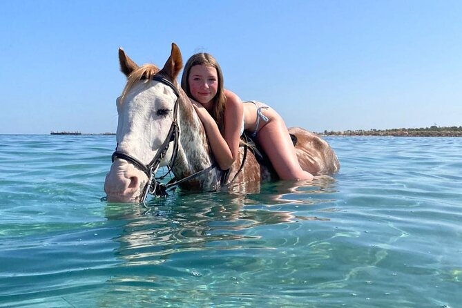 3 Hours Swimming By Horse in Red Sea Riding on the Beach and Dessert - Hurghada - What swimming with a horse actually requires