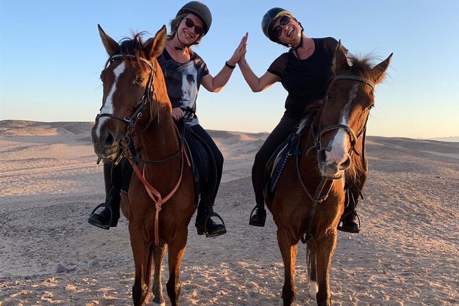 3 Hours Swimming By Horse in Red Sea Riding on the Beach and Dessert - Hurghada - Trainers, photos, and the human side