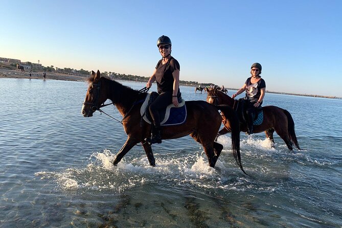 3 Hours Swimming By Horse in Red Sea Riding on the Beach and Dessert - Hurghada - Food, drinks, and what to bring