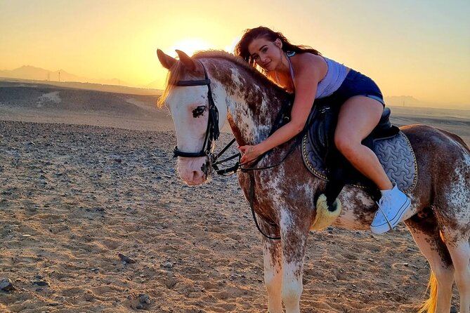 3 Hours Swimming By Horse in Red Sea Riding on the Beach and Dessert - Hurghada - Is $59 a fair price?