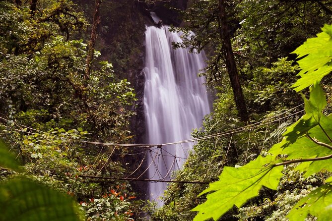 3-in-1 Monteverde Cloud Forest Waterfalls, Wild Trekking and Horseback Riding - The waterfall stops are the main event