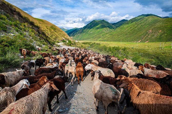 4 Days Issyk Kul & Chon Kemin: Horse Riding and Nomadic Yurt Stay - Why this four-day route works