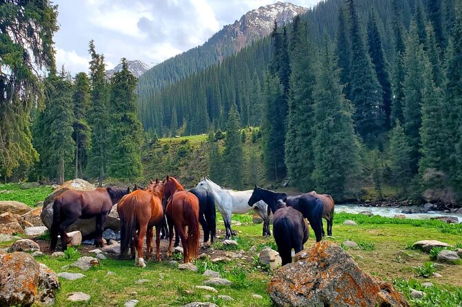 4 Days Issyk Kul & Chon Kemin with Nomadic Stay, Horse riding - Day four: Chon-Kemin to Burana Tower and Bishkek