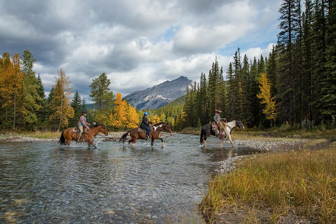 4 Hour Sulphur Mountain Horseback Ride - The riding requirements deserve your attention