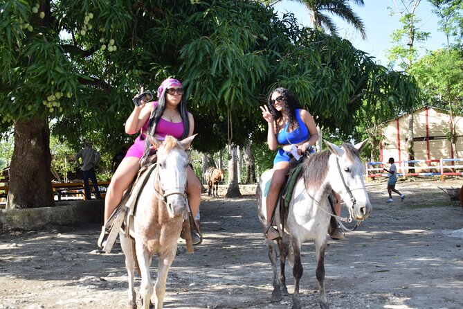 5 tours in 1 (Eco Farm/Horseback/City Tour/Buggy/Zipline) - One long day, five very different experiences