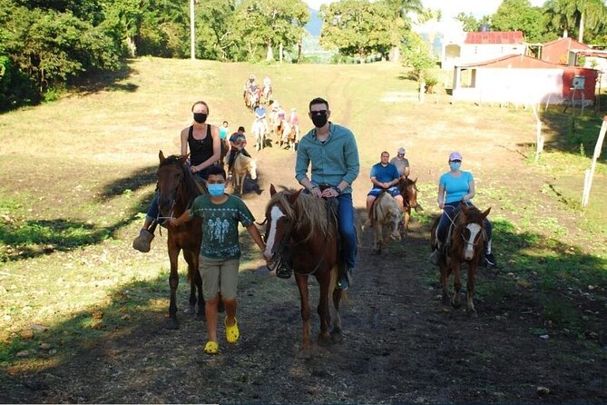 6 in 1 tours Full Day Safari, Zipline, Buggies and Horse Riding - The Ranch, Cigars, and a Taste of Mamajuana