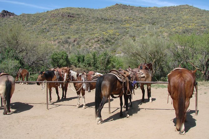 A Day In The Old West Adventure including Horseback Ride and Cowboy Lunch - From Phoenix hotels to the open desert