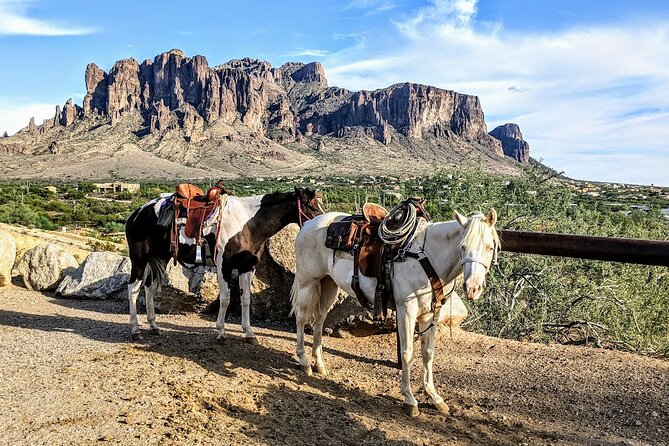 A Day In The Old West Adventure including Horseback Ride and Cowboy Lunch - Who will enjoy this six-hour adventure?