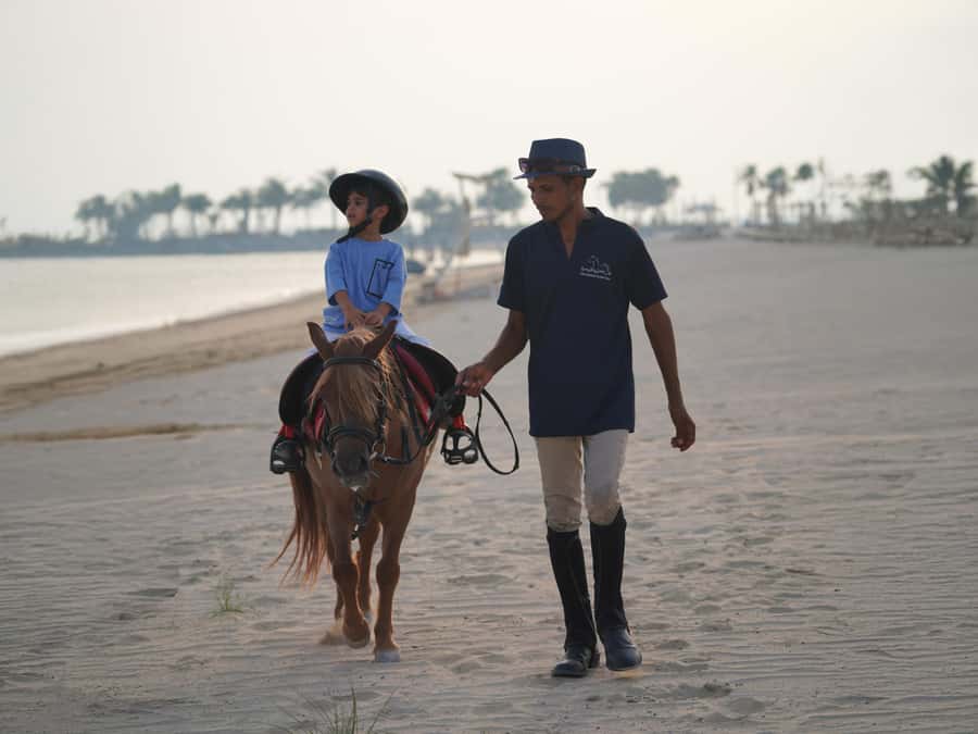 Abu Dhabi: Hudairiyat Island Horse Riding Experiences - A short ride with a big coastal setting