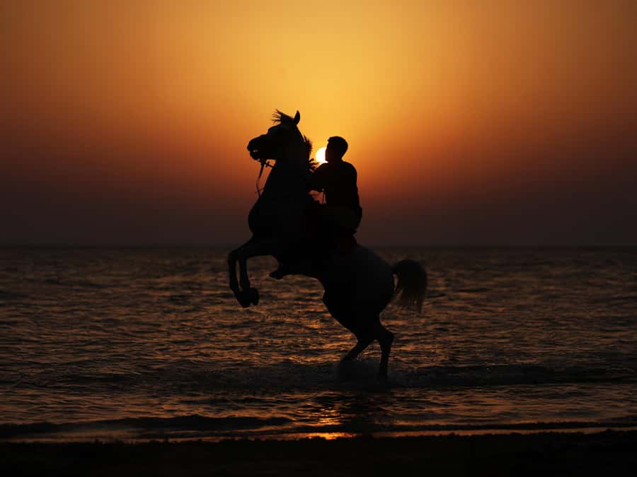 Abu Dhabi: Hudairiyat Island Horse Riding Experiences - What the 30 minutes actually feels like