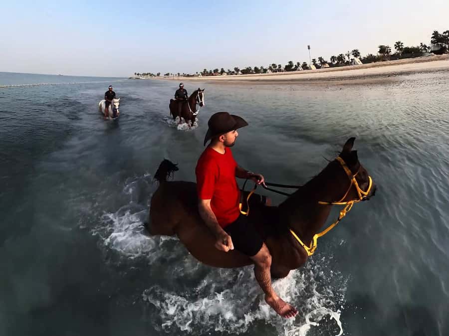 Abu Dhabi: Hudairiyat Island Horse Riding Experiences - Getting to Gate 4 matters more than it first appears