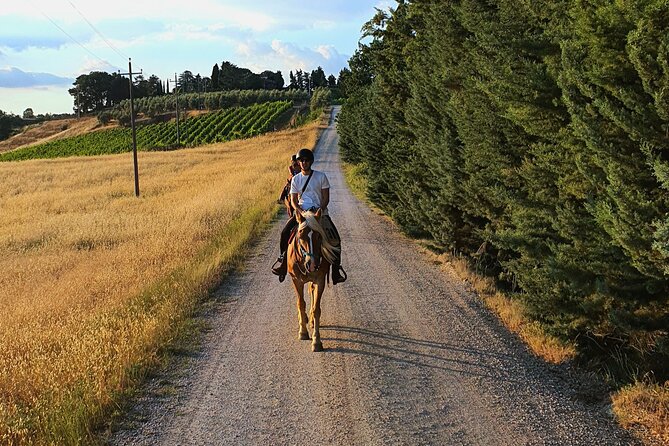 Adventure on horseback in the Tuscan countryside - Key points to know before you saddle up
