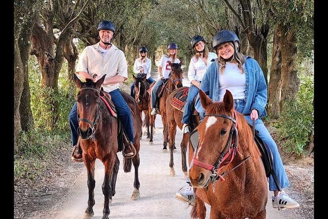 Adventure on horseback in the Tuscan countryside - The route: hills, vineyards, and olive groves
