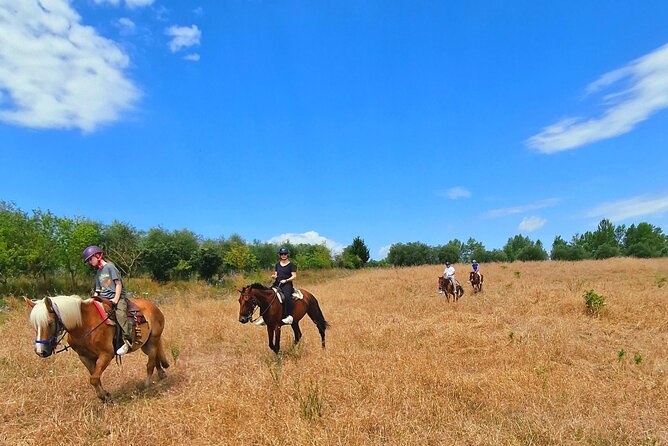 Adventure on horseback in the Tuscan countryside - Why the group limit matters