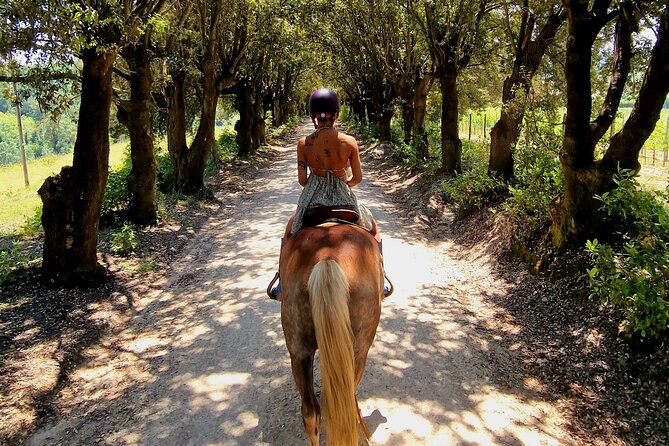 Adventure on horseback in the Tuscan countryside - Equipment, clothing, and rider limits