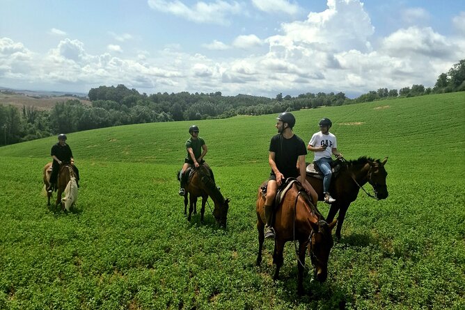 Adventure on horseback in the Tuscan countryside - The possible wine tasting